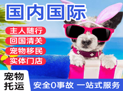 长海航空托运国际宠物托运 【国